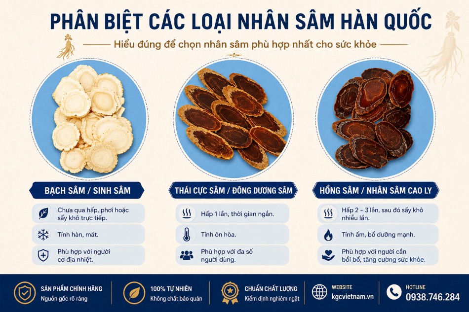 So Sánh Thành Phẩm Chế Biến Nhân Sâm Cao Ly